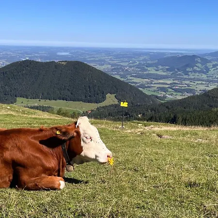 Am Goldbach *