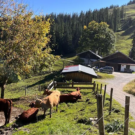 Am Goldbach Apartamento *