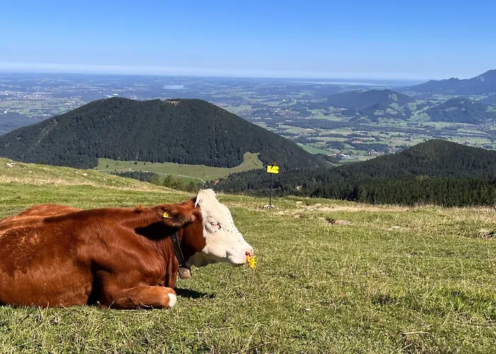 Am Goldbach *