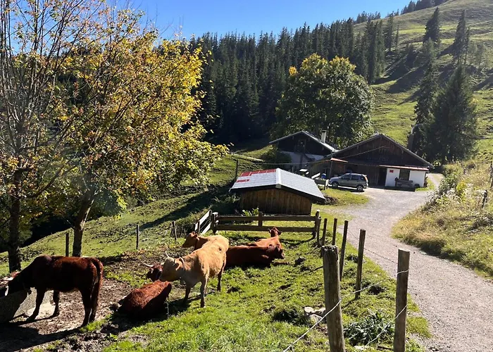 Am Goldbach Apartamento *